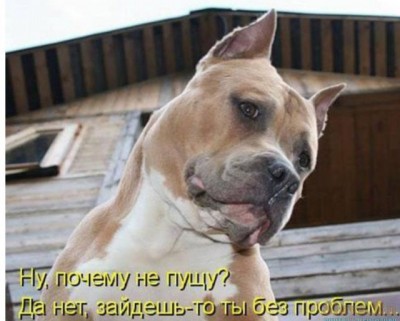 15.jpg (68.55 КБ) 3675 просмотров 15.jpg