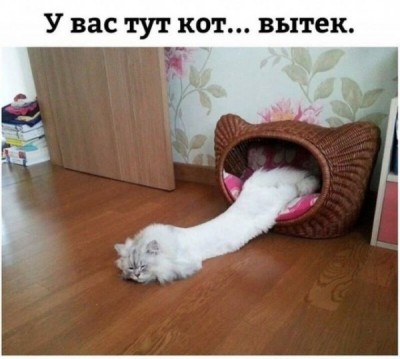 12.jpg (51.14 КБ) 4616 просмотров 12.jpg