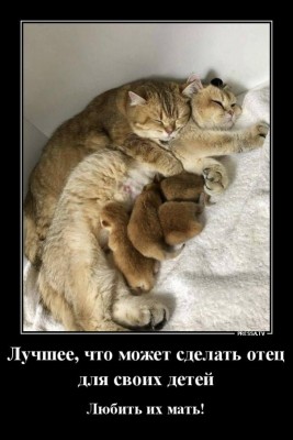 14.jpg (76.08 КБ) 4464 просмотра 14.jpg