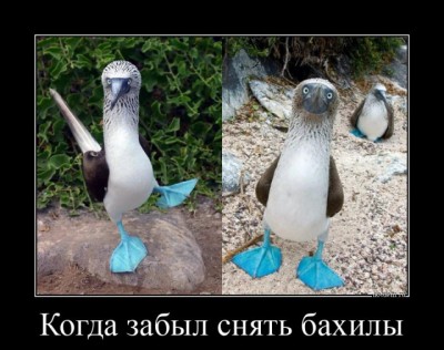 11.jpg (107.12 КБ) 4423 просмотра 11.jpg