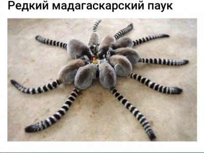 12.jpg (61.84 КБ) 4250 просмотров 12.jpg