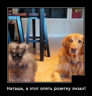 11.jpg (77.41 КБ) 3756 просмотров 11.jpg