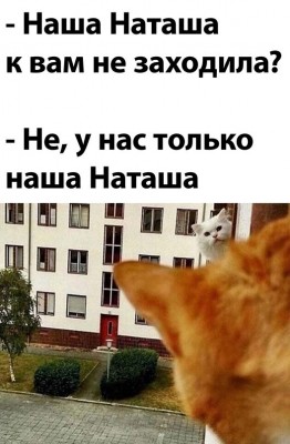 15.jpg (80.99 КБ) 4737 просмотров 15.jpg