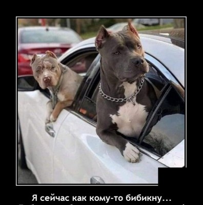 12.jpg (95.56 КБ) 4737 просмотров 12.jpg