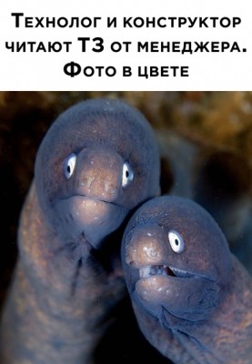 12.jpg (84.96 КБ) 4672 просмотра 12.jpg