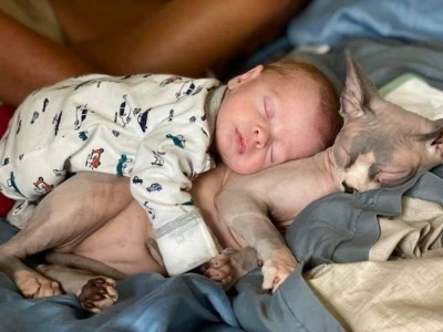 14.jpg (115.89 КБ) 4498 просмотров 14.jpg