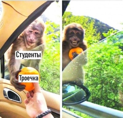 13.jpg (99.99 КБ) 3936 просмотров 13.jpg