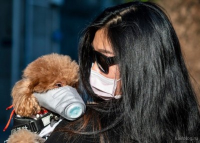 19.jpg (88.47 КБ) 4201 просмотр 19.jpg