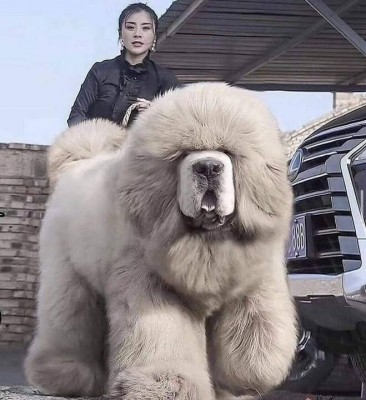 15.jpg (60.03 КБ) 4088 просмотров 15.jpg