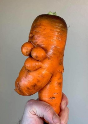 11.jpg (73.76 КБ) 3966 просмотров 11.jpg