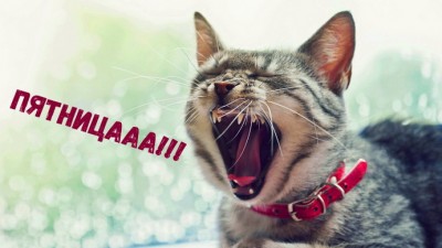 16.jpg (90.25 КБ) 3872 просмотра 16.jpg