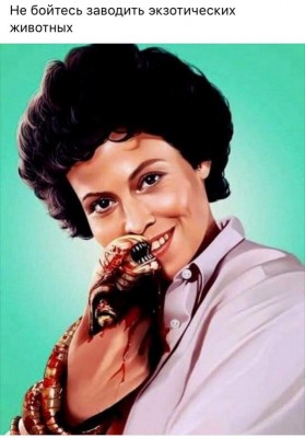 12.jpg (56.63 КБ) 3541 просмотр 12.jpg