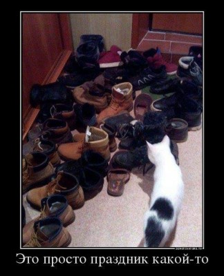 13.jpg (48.16 КБ) 3481 просмотр 13.jpg