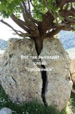 14.jpg (91.98 КБ) 3411 просмотров 14.jpg