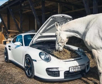 11.jpg (105.96 КБ) 3391 просмотр 11.jpg