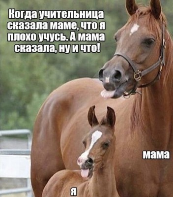 15.jpg (71.04 КБ) 5369 просмотров 15.jpg