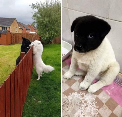 11.jpg (119.2 КБ) 5368 просмотров 11.jpg