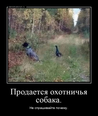 12.jpg (100.48 КБ) 5372 просмотра 12.jpg