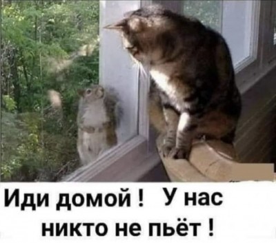 16.jpg (67.81 КБ) 5321 просмотр 16.jpg