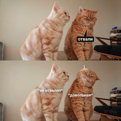 15.jpg (78.97 КБ) 5322 просмотра 15.jpg