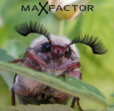 16.jpg (52.79 КБ) 4990 просмотров 16.jpg