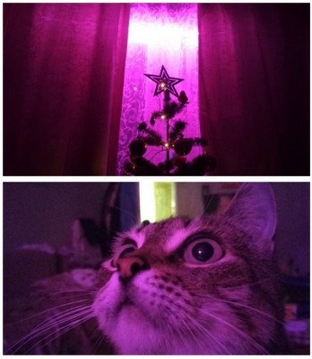 12.jpg (84.55 КБ) 5071 просмотр 12.jpg