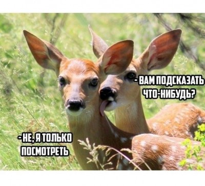 16.jpg (72.82 КБ) 4669 просмотров 16.jpg