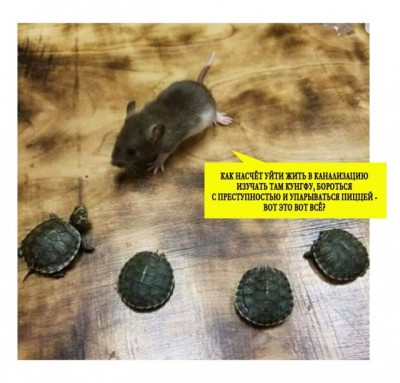 13.jpg (85.21 КБ) 5296 просмотров 13.jpg