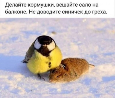 14.jpg (75.55 КБ) 5262 просмотра 14.jpg