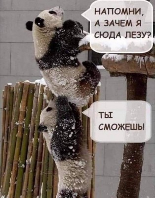 13.jpg (117.03 КБ) 4940 просмотров 13.jpg