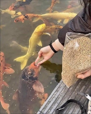 11.jpg (93.38 КБ) 5149 просмотров 11.jpg