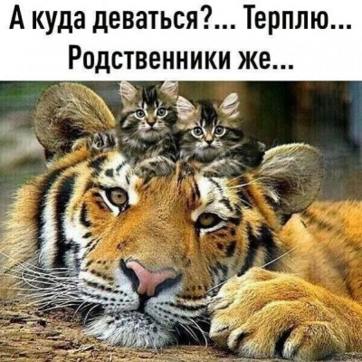 14.jpg (90.27 КБ) 4737 просмотров 14.jpg