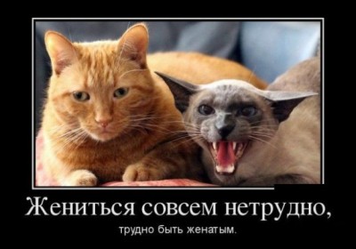 17.jpg (44.6 КБ) 4492 просмотра 17.jpg