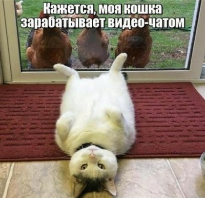 13.jpg (71.51 КБ) 4421 просмотр 13.jpg