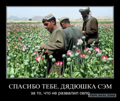 16.jpg (106.02 КБ) 4335 просмотров 16.jpg