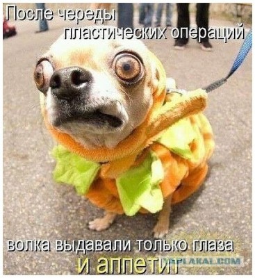17.jpg (93.74 КБ) 4634 просмотра 17.jpg