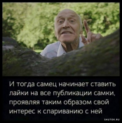 19.jpg (78.51 КБ) 4972 просмотра 19.jpg