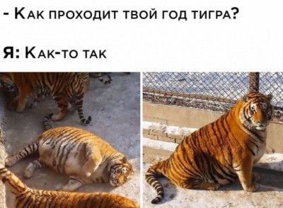 16.jpg (84.5 КБ) 4576 просмотров 16.jpg