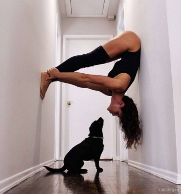 11.jpg (72.33 КБ) 4000 просмотров 11.jpg