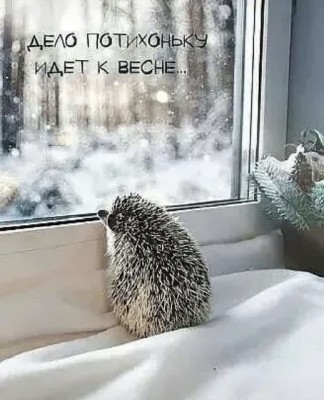 17.jpg (109.33 КБ) 4267 просмотров 17.jpg