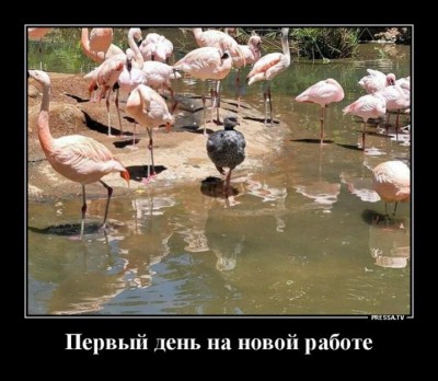 12.jpg (70.19 КБ) 3941 просмотр 12.jpg