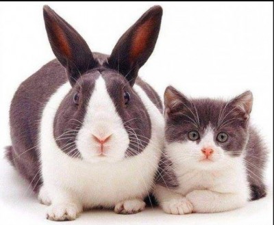 11.jpg (95.71 КБ) 3881 просмотр 11.jpg