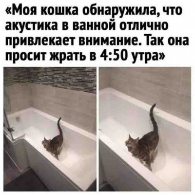 13.jpg (82.36 КБ) 4808 просмотров 13.jpg